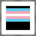Transgender Pride Flag Framed Print