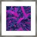 Transitions With Turquoise, Lavender And Magenta Framed Print