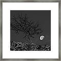 Tree And Moon Framed Print