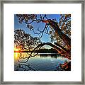 Tree At Sunset A0110 Framed Print