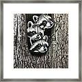 Tree Bandits Framed Print