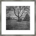 Tree By The Lake Framed Print