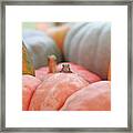 Tree Frog  4260 Framed Print