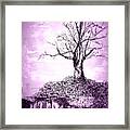 Tree In Winter Framed Print