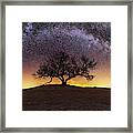 Tree Of Wisdom Framed Print