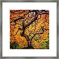 Tree On Fire Framed Print