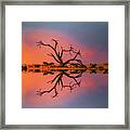 Tree Sunset Framed Print