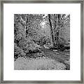 Trees Along The Path In Infrared Framed Print