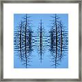 Trees In The Ether Framed Print