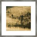 Trees In The Fog Framed Print