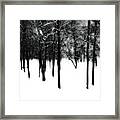 Trees In The Mist Framed Print