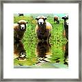 Triple Sheep Edit This 66 Framed Print