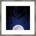 Tropical Moonglow Framed Print