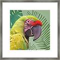Tropical Paradise Framed Print