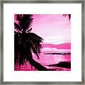 Tropical Pink Framed Print