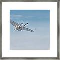 Trumpeter Swan Tandem Flight I Framed Print