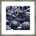 Offerings Framed Print