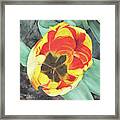 Tulip Heart Framed Print