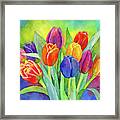 Tulip Medley Framed Print