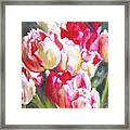 Tulips From The Market Framed Print
