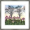 Tulips In A Field Framed Print
