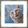 Tuna Time - Orange Cat Painting On Blue Framed Print