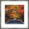 Tunnel Of Fall Colors Framed Print