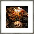 Tunnel Vision Framed Print