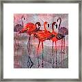 Turner's Flamingos Framed Print