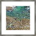 Turquoise Blue Water And Rocks On The Coast Framed Print