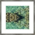 Turquoise Sea Water And Rocks Framed Print