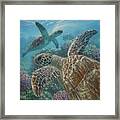 Turtle Bay Framed Print