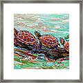 Basking Turtles Framed Print