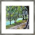 Tuscsawilla Park Walking Path Framed Print