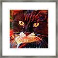 Tuxedo Cat Art Framed Print