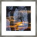 Twilight Zone In The Magic Forest Framed Print
