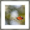 Twin Lakes Gold Framed Print