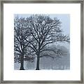 Twin Trees In The Fog Framed Print