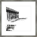 Two Birds And A Pier Framed Print