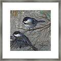 Two Chickadees Framed Print