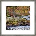 Two White Tail Deer At The Vermillion River Framed Print