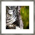 Two Eggs In A Palm Tree Framed Print