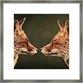 Two Foxes You And Me Framed Print