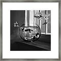 Two Lost Souls Swimming In A Fishbowl - Black And White Framed Print