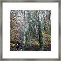 Two People Walking Through Woods At Southampton Common Framed Print