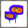 Two Poppies Framed Print