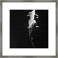 Under The Surface #2 Framed Print