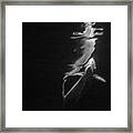 Under The Surface #3 Framed Print