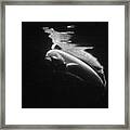 Under The Surface #4 Framed Print