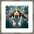 Underwater Basset Hound Framed Print